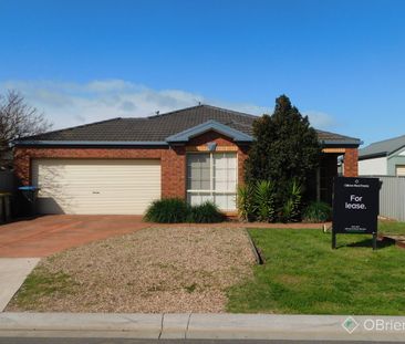 PERFECT LOCATION - REFURBISHMENT JUST ABOUT COMPLETE! - Photo 1