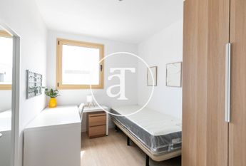 4 bedroom apartment for rent with 2 bathrooms near the beach