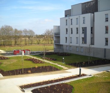 Location Appartement 1 pièce 33m² STE LUCE SUR LOIRE 44980 - Photo 6