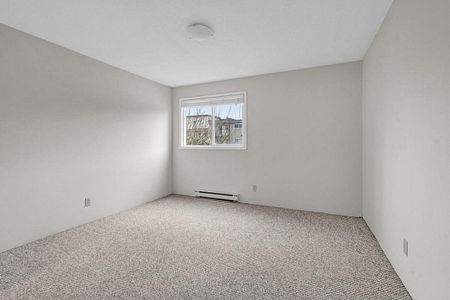 1 Bedroom - Renovated - Photo 5