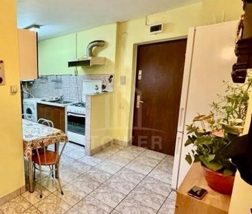 APARTAMENT 2 CAMERE DE INCHIRIAT ZONA CEDONIA Garantie 500 (se poate plati in - Photo 6