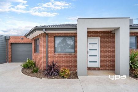 Open Plan Living with Private Courtyard - Photo 4