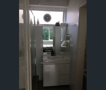 Spacious One Bedroom - Photo 4