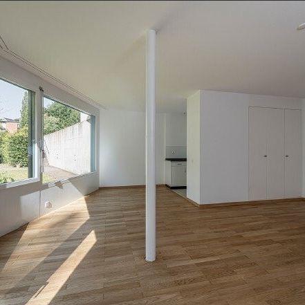 Moderne Wohnung im beliebtem Gellertquartier - Photo 1