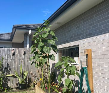 Willow Vale - Photo 3