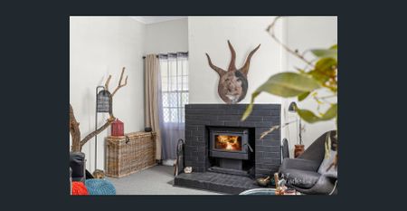 Quirky & Quaint - Photo 2