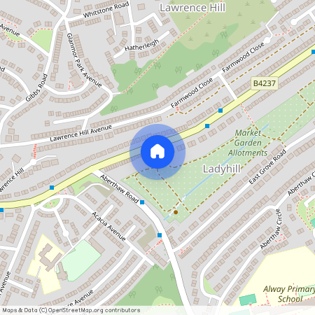 Chepstow Road, NEWPORT