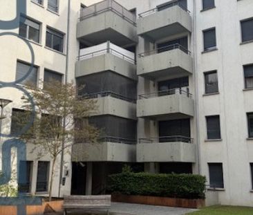 1 pièce, 31m² en location à Toulouse - 590 € par mois - Photo 1