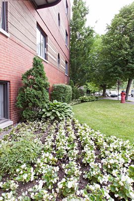 5600 Avenue Decelles, Montréal, QC - Photo 1