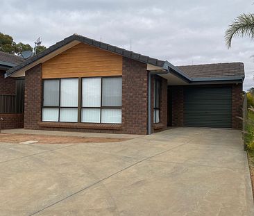 3/3 Mary Starr Drive, 5330, Waikerie Sa - Photo 2