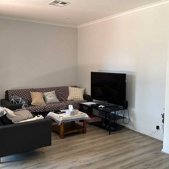 4-bedroom shared house, Murray Street - Photo 1