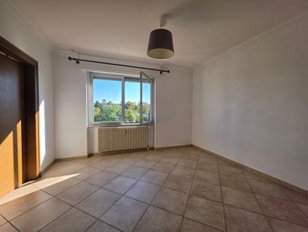Location Appartement 3 pièces 65m² RIEDISHEIM 68400 - Photo 3