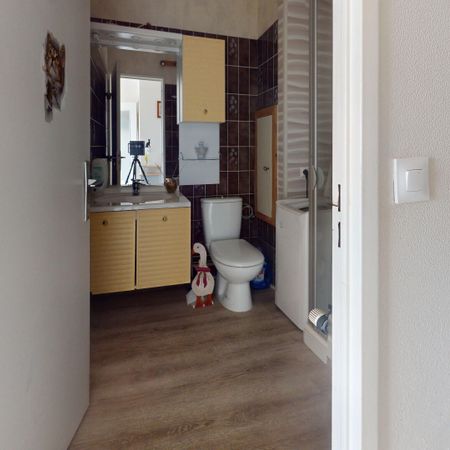 Charmant Appartement 1 Pièce Meublé à Louer à Mulhouse - Exclusivité Guy Hoquet - Photo 4