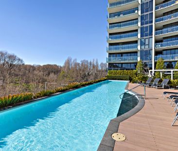 Spacious, light filled living in the heart of Canberra - Photo 6