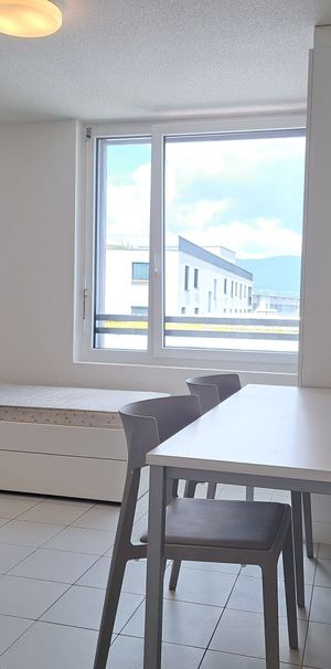 HALDIMAND 55, 1.5-room furnished studio in the city center - N320 - Photo 1