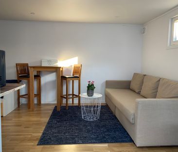 Grevebergsgatan, Västra Frölunda - Photo 5
