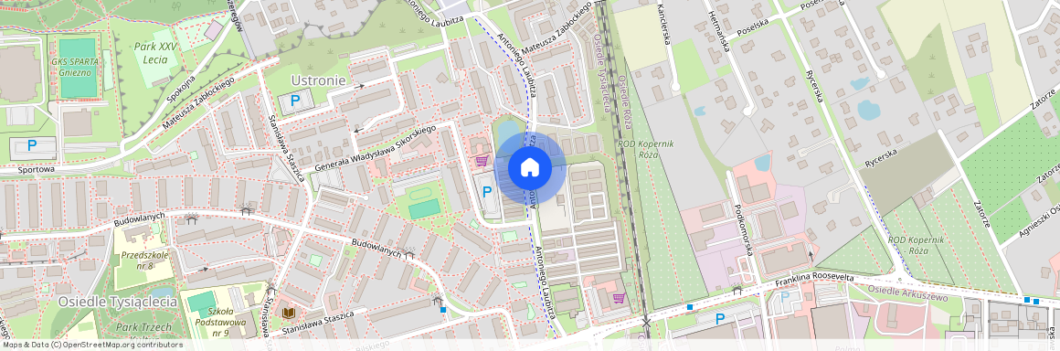 ul. bp. Antoniego Laubitza, Gniezno, gnieźnieński, wielkopolskie