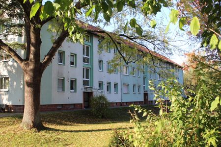 Schöne 2-Zimmer Wohnung in Gelnhausen zu vermieten - Foto 3