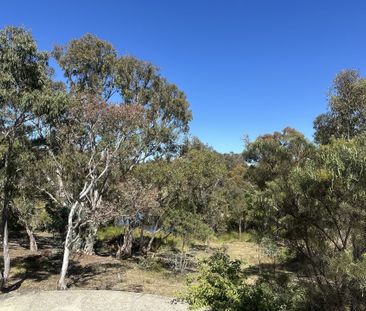 Goolabri Country Resort - Photo 5