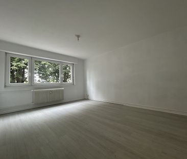Location Appartement 1 pièce 35m² ILLZACH 68110 - Photo 3