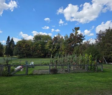 For Lease - 20336 Bathurst Street Unit# 2B, East Gwillimbury, Ontario - Photo 4