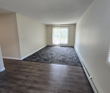 Modern Two Bedroom Unit on the North End - Photo 3