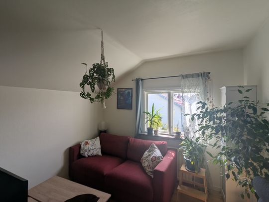 Hackspettsgatan 13 - Photo 1