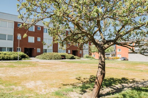 Ågatan 38A, Bromölla - Photo 1