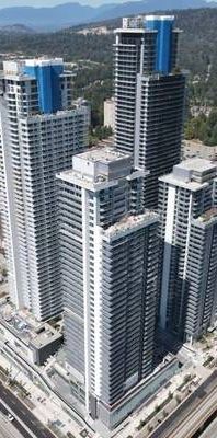 ~~~City of Lougheed 1BR condo, 200m to sky train, 10mins to SFU - Photo 1