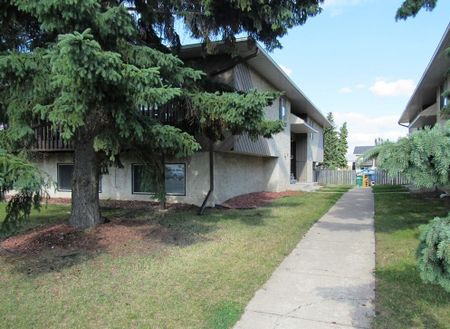 43 B Cameron Crescent, Red Deer, Alberta - Photo 4