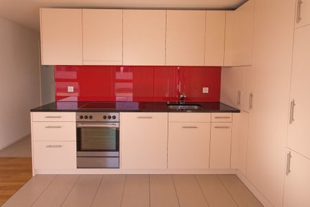 2 ½ Zimmer-Attikawohnung in Windisch mieten - Foto 4