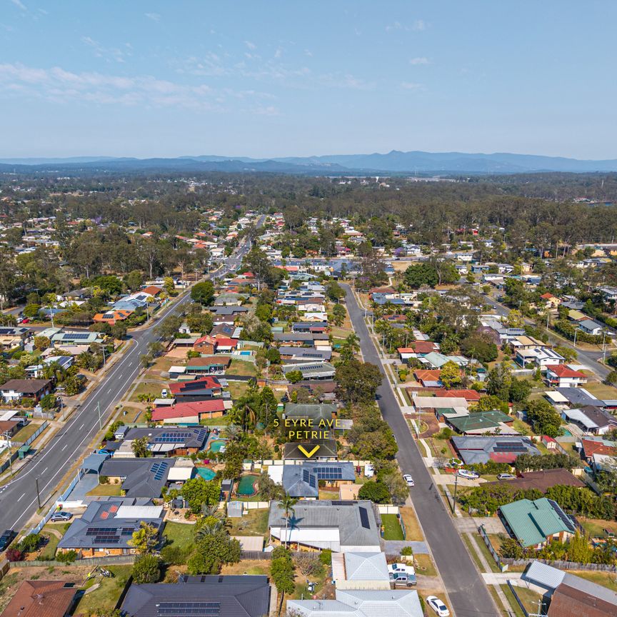 5 Eyre Avenue, Petrie QLD 4502 - House For Rent - $800 | Domain - Photo 1