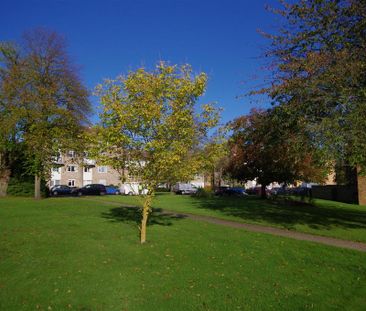 2 bedroom maisonette to rent - Photo 6