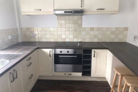 113 Hyndford Street - Photo 4