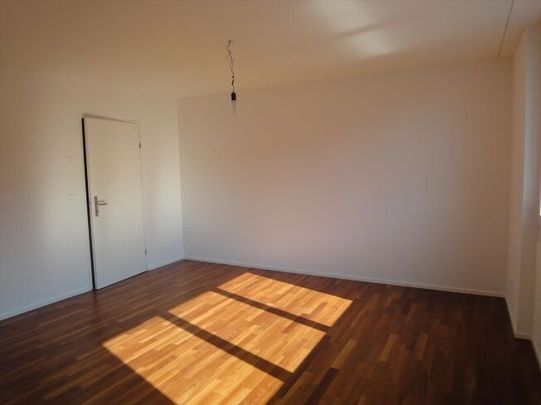 Modern apartment in the immediate vicinity of the Schaffhauserplatz - Photo 1