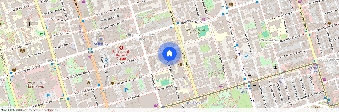 337 Mutual Street W #Bsmt B2, Toronto, Church-Yonge Corridor