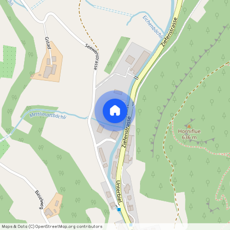 4418, Reigoldswil, Ziefenstrasse, 5