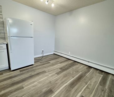 Modern and Spacious 2-Bedroom Apartment - SMALL PET FRIENDLY! - Photo 6