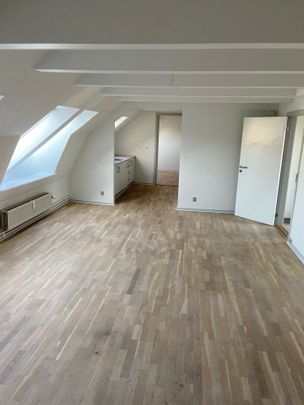 Nørregade 22A 2. TH 7800 Skive - Photo 1