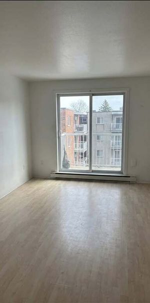 Superbe 4 ½ à Louer – La Cité-Limoilou - Photo 1
