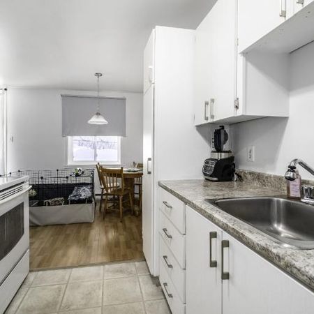 Appartement 4 ½ à louer Lévis juillet 2026 - Photo 4