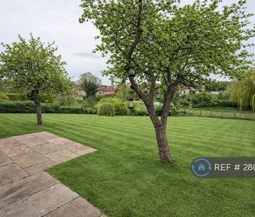 3 bedroom semi-detached house to rent - Photo 1