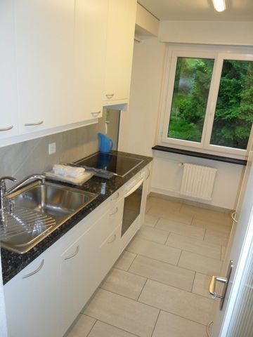 Charming apartment in a central location in Küssnacht am Rigi - Foto 4