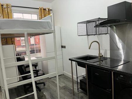 Studio Flat, Victoria Park, M14 - Photo 4