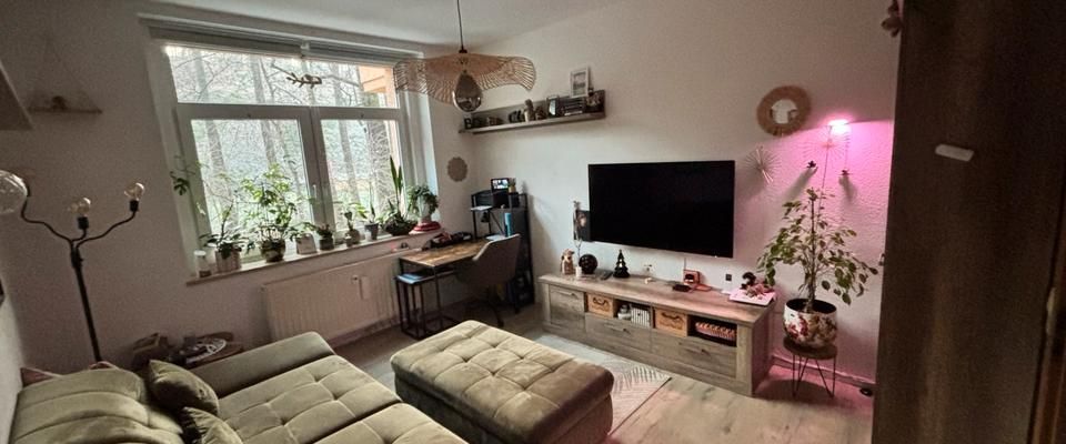 Nachmieter/in für sehr schöne 2-R. Whg. Plauen Nähe Stadtp./Syrat - Foto 1