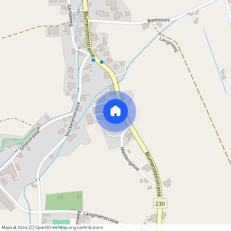 Blumensteinstrasse 36, 3665 Wattenwil