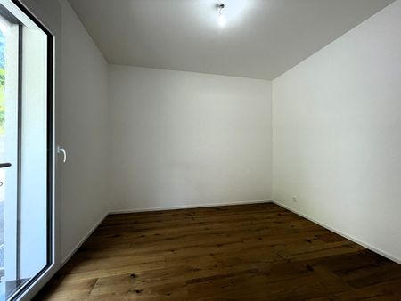 Villa for Rent in the Hauts de Blonay - Photo 2