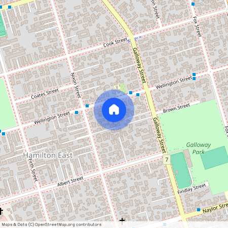 144a Nixon Street, 3216, Hamilton East