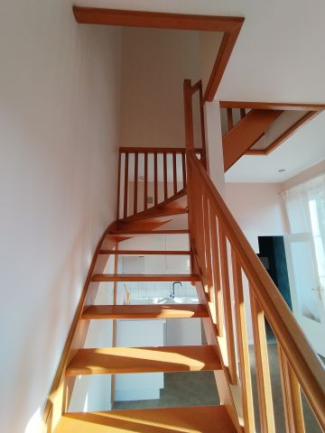 Duplex/Triplex - Photo 3