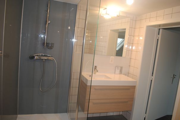 Dakappartement met 1 slaapkamer nabij centrum van Balen. - Foto 1